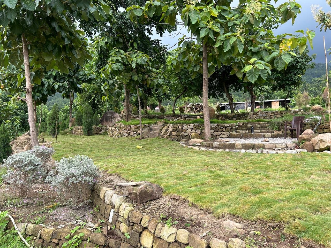 1. Lawn Care Maintenance