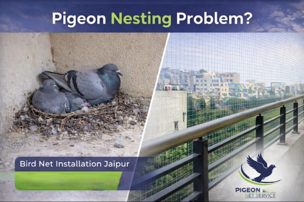 Terrace Netting Solutions