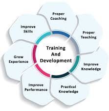 Training & Development Programs