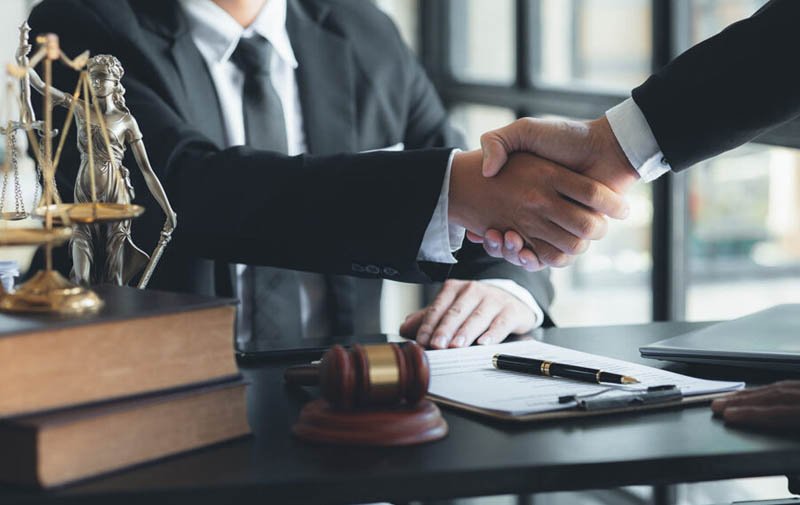 Legal Consultation & Case Support