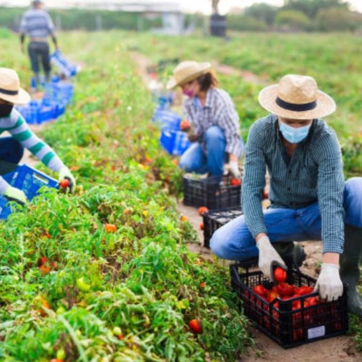 Organic Farming Support