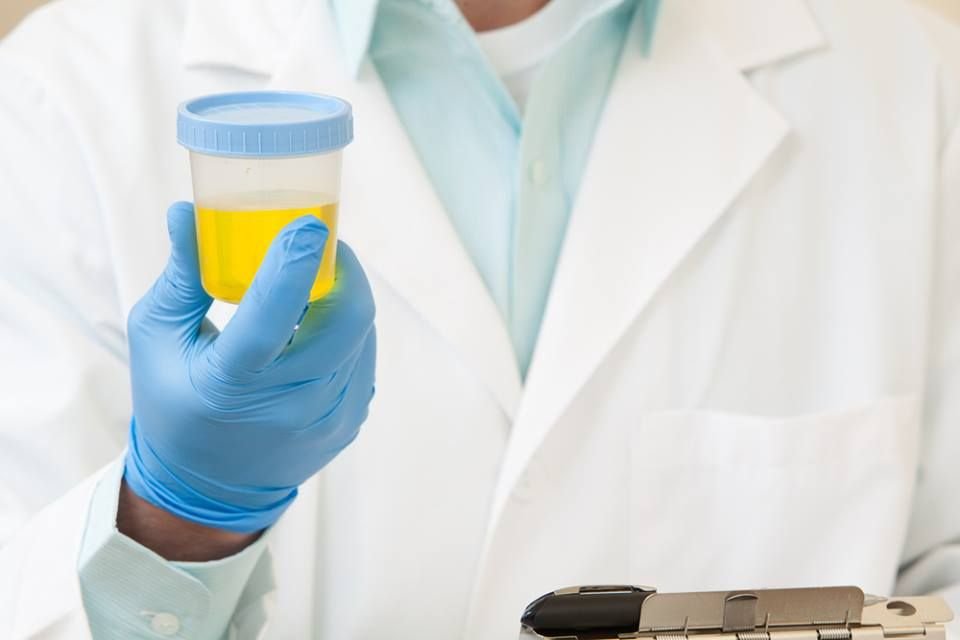 Urine & Stool Analysis