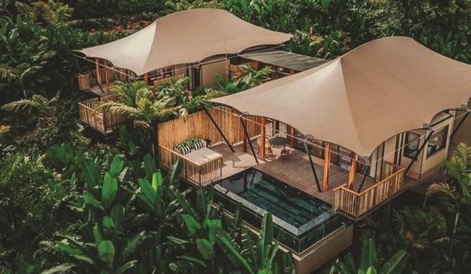 Jungle Resort Stay