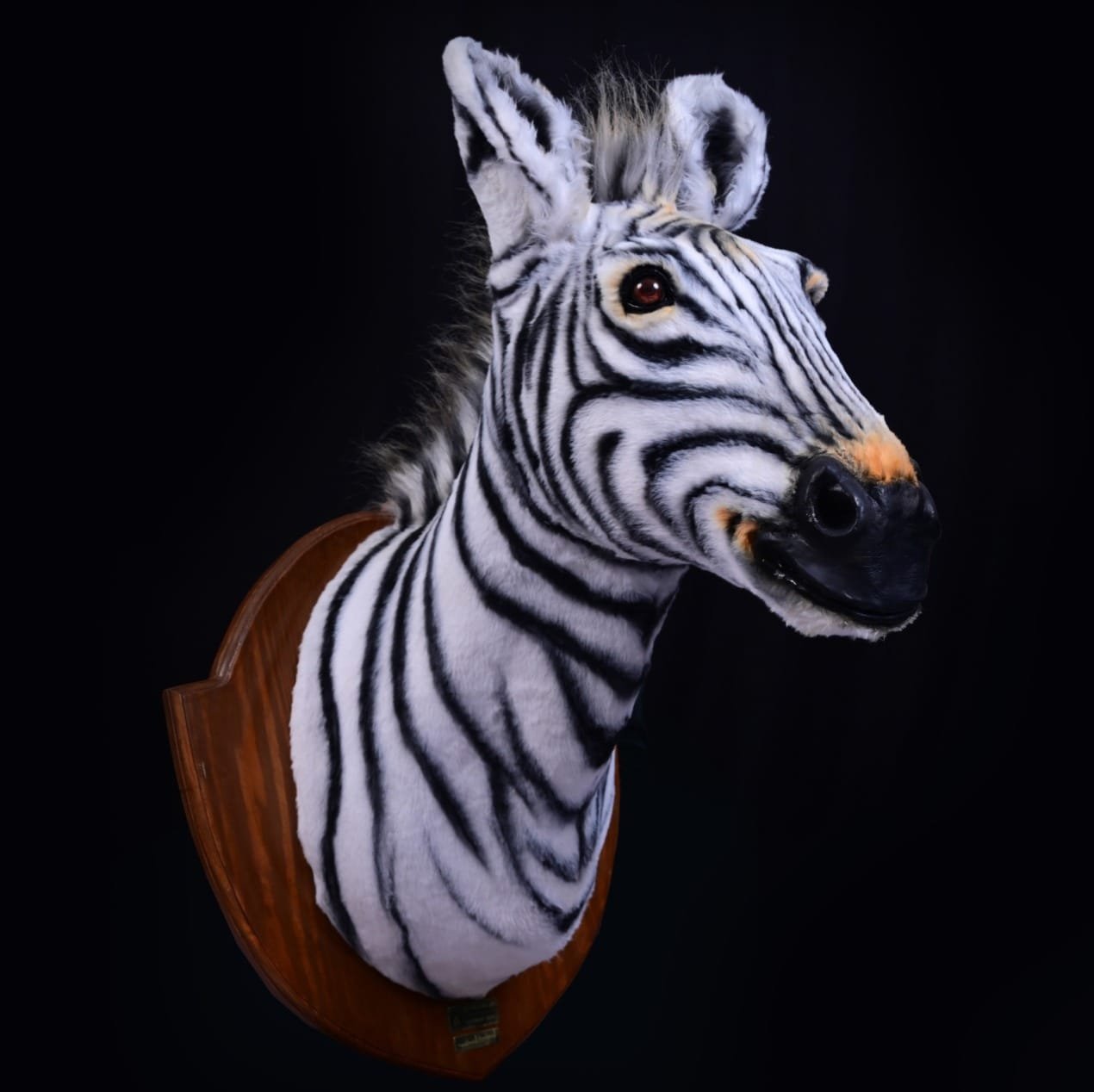 Custom Animal Replicas –