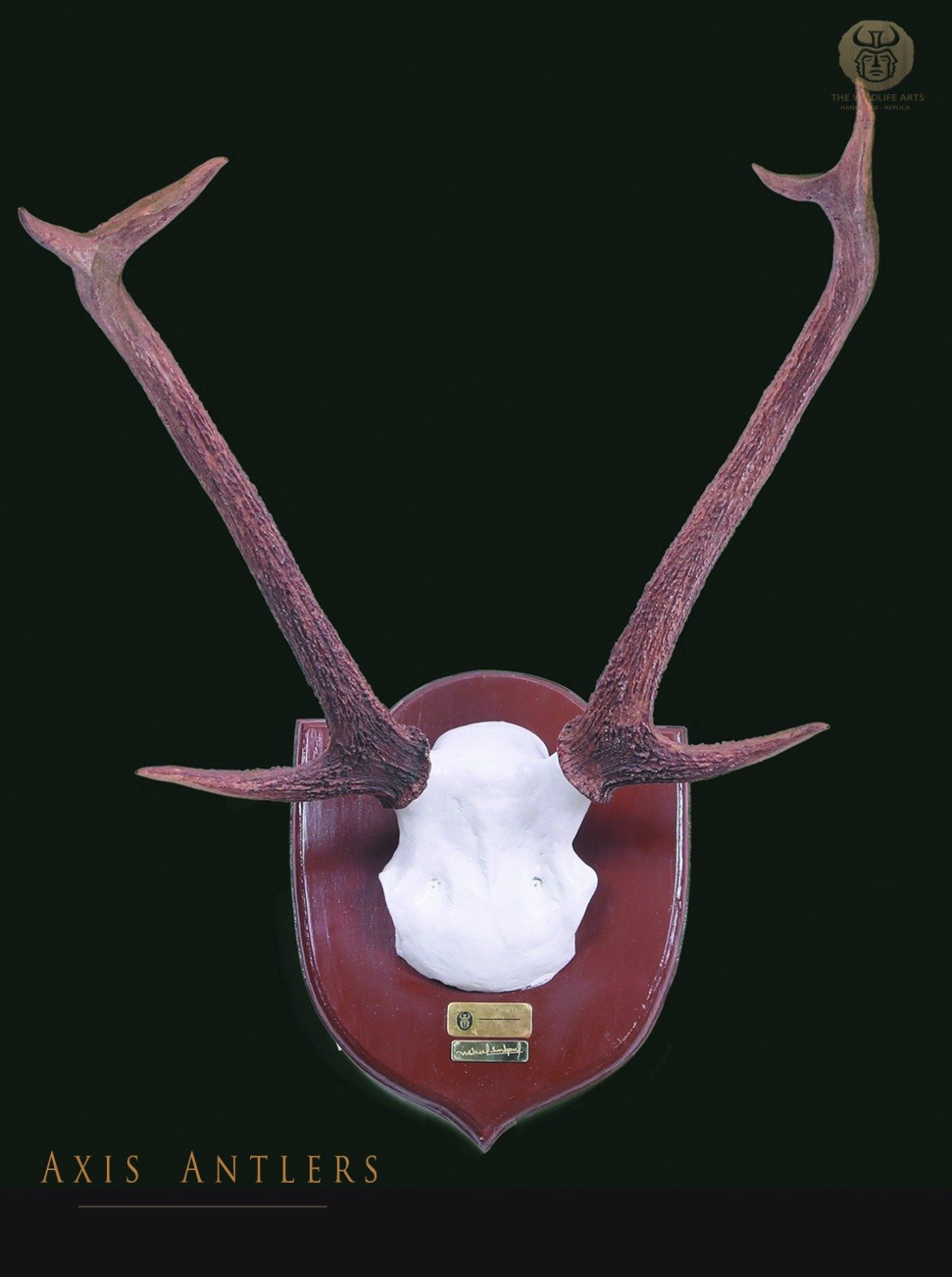 Museum & Interior Displays –