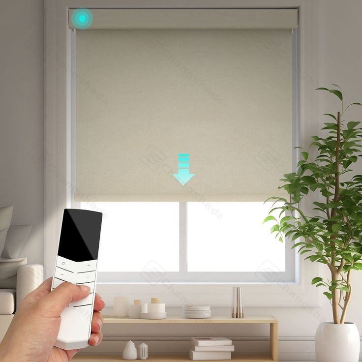 Customized Window Blinds