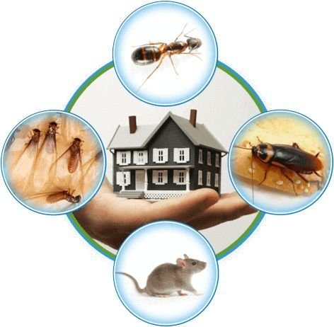Rodent Control