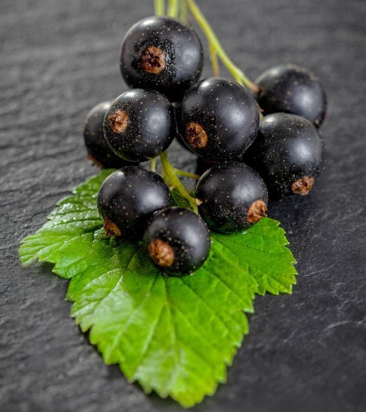 Black Currant
