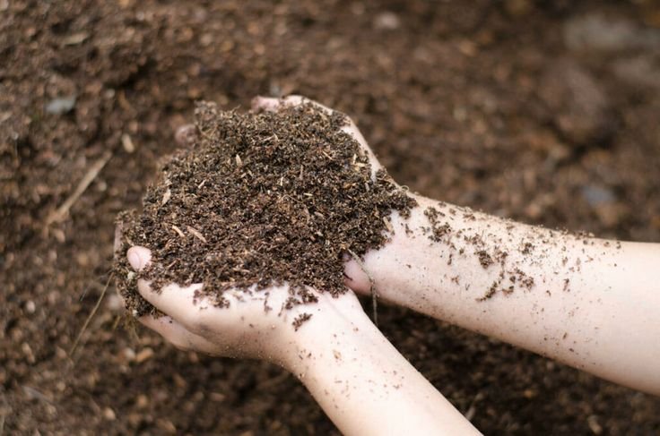 Soil Compost (मिट्टी कम्पोस्ट)