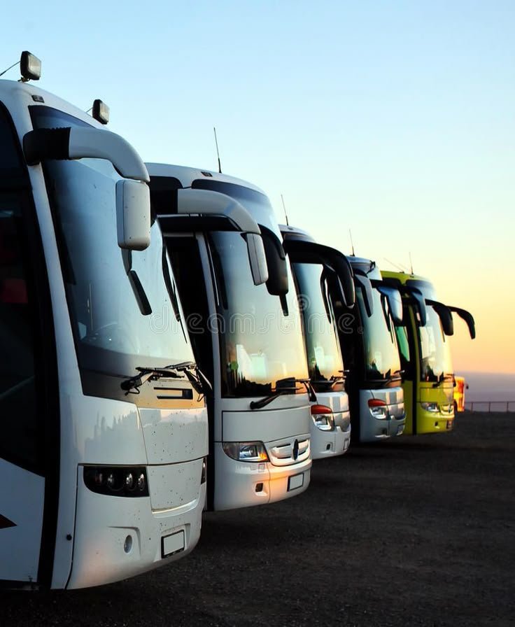 Transportation (Car/Bus)