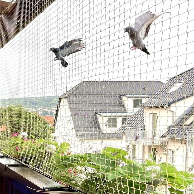 Bird Netting Solutions –