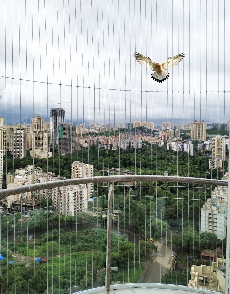 Custom Safety Solutions –