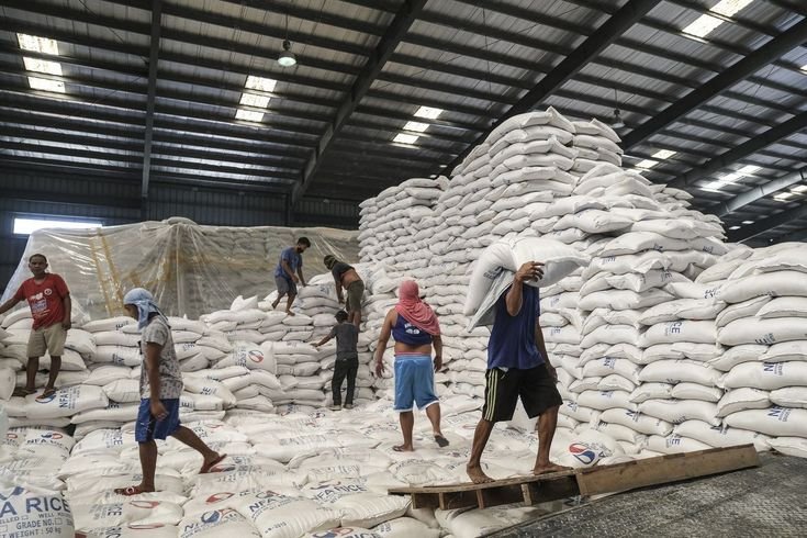 International Rice Trading