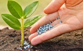 Bulk Supply to Farmers & Distributors